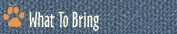 What To Bring.